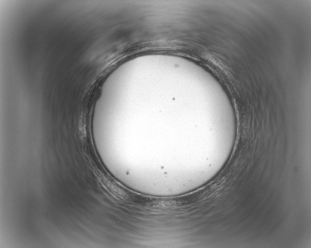 X0000067871451200605041755