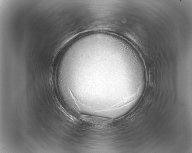 X0000067871452200605041755