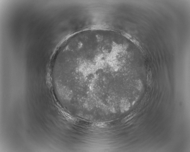 X0000067871454200605041755