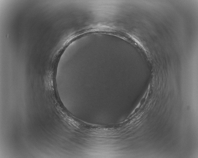 X0000067871455200605041755