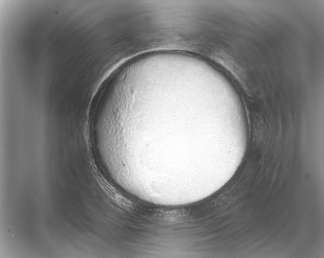 X0000067871460200605041754