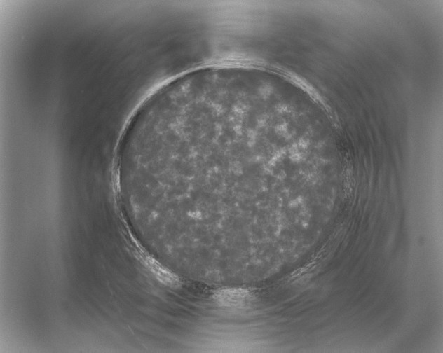 X0000067871462200605041754