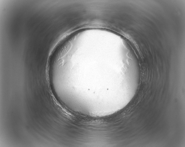 X0000067871464200605041754