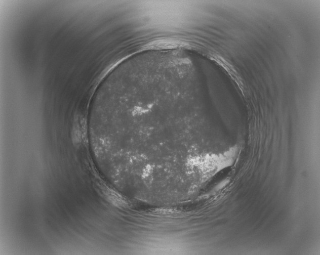 X0000067871465200605041754