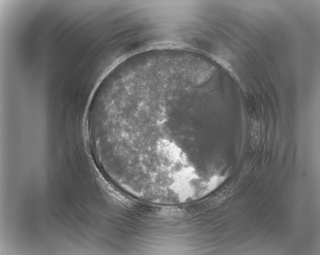 X0000067871466200605041754