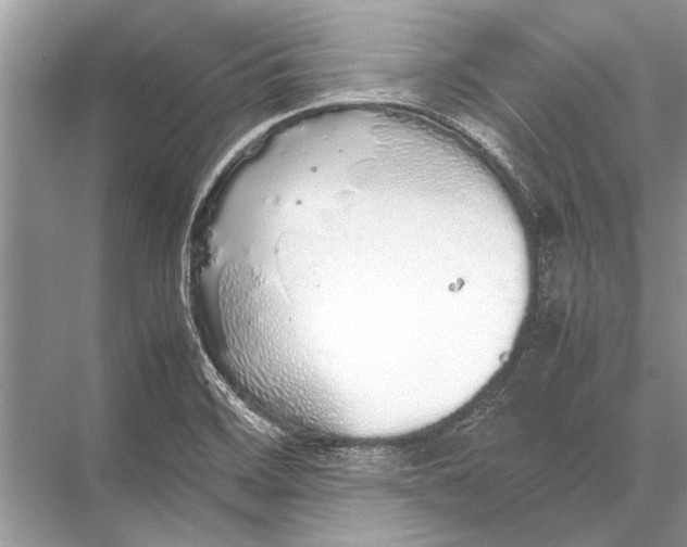 X0000067871468200605041754