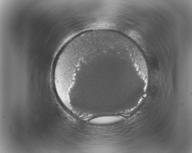 X0000067871469200605041754