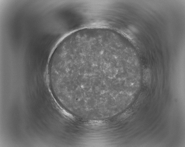 X0000067871470200605041754