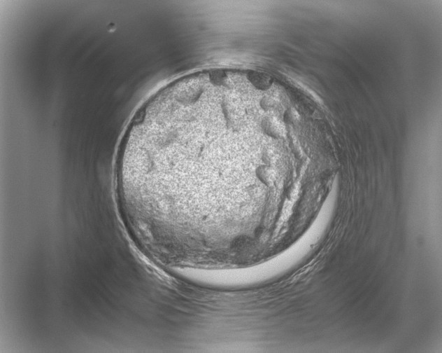 X0000067871471200605041754