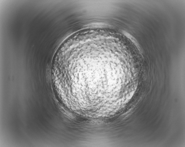 X0000067871473200605041754