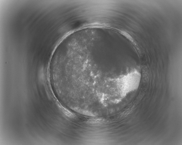 X0000067871474200605041754