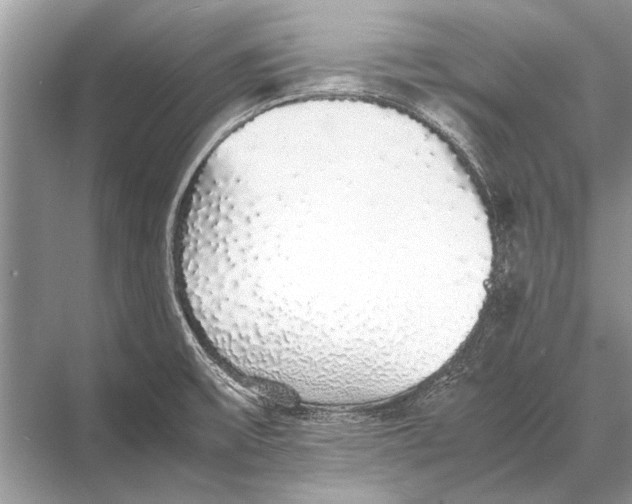 X0000067871475200605041754