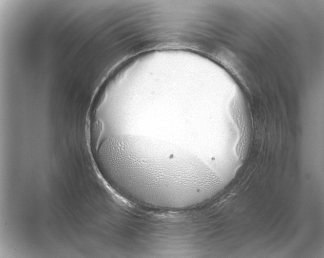 X0000067871476200605041754