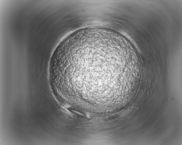 X0000067871477200605041754