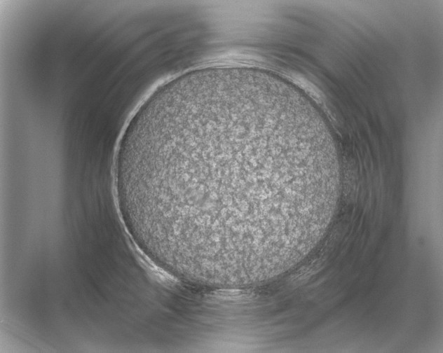 X0000067871478200605041754