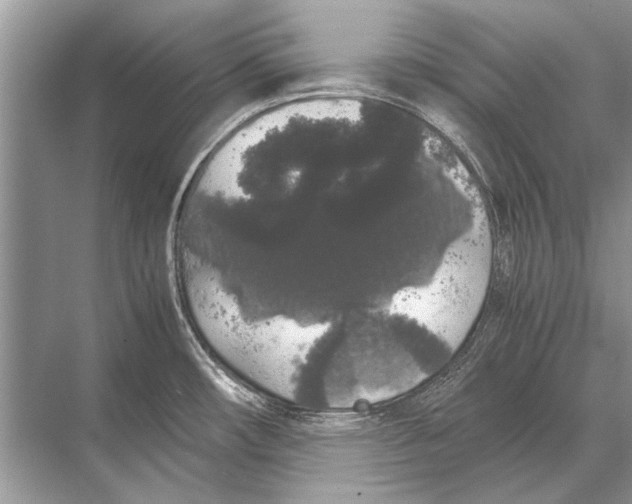 X0000067871482200605041754