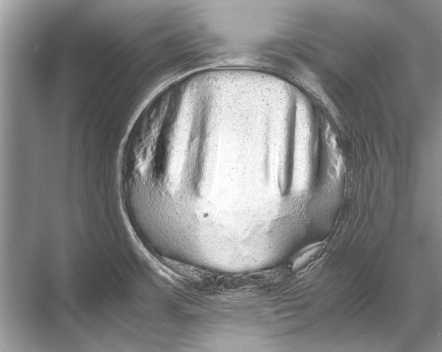 X0000067871483200605041754