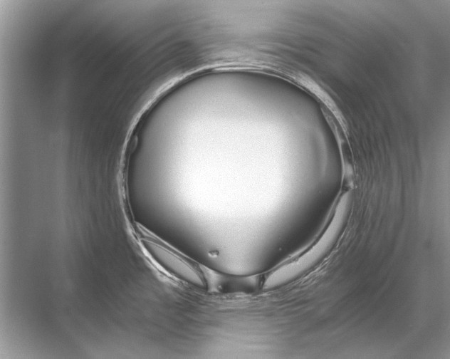 X0000067871485200605041754