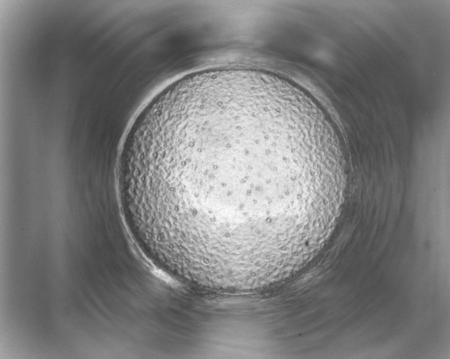 X0000067871486200605041754