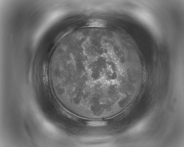 X0000067871487200605041754