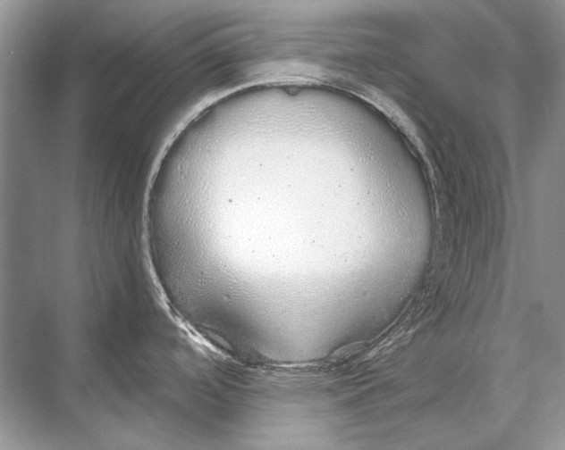 X0000067871488200605041754