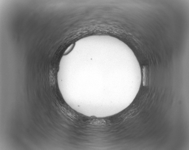 X0000067871491200605041753