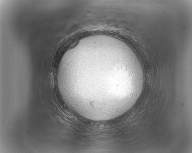 X0000067871493200605041753