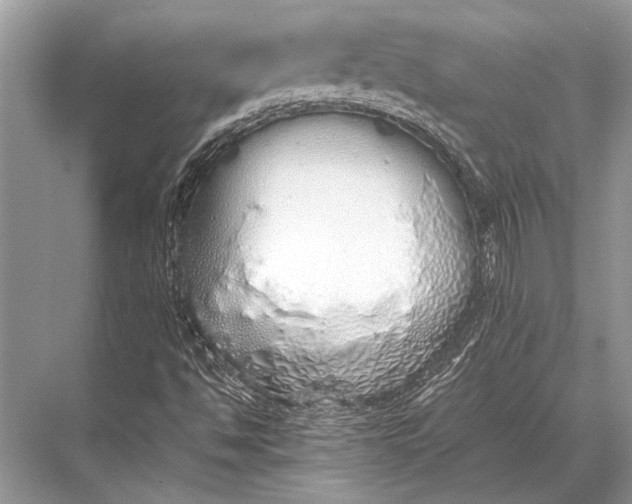 X0000067871494200605041753