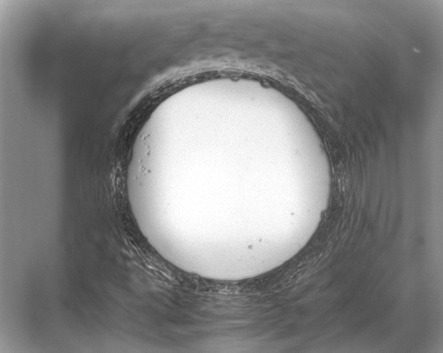 X0000067871495200605041753