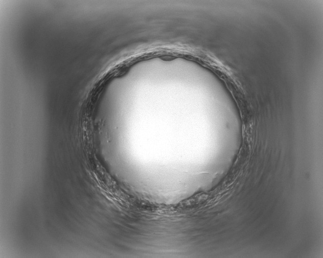 X0000067871496200605041753