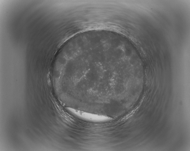 X0000067871497200605041753