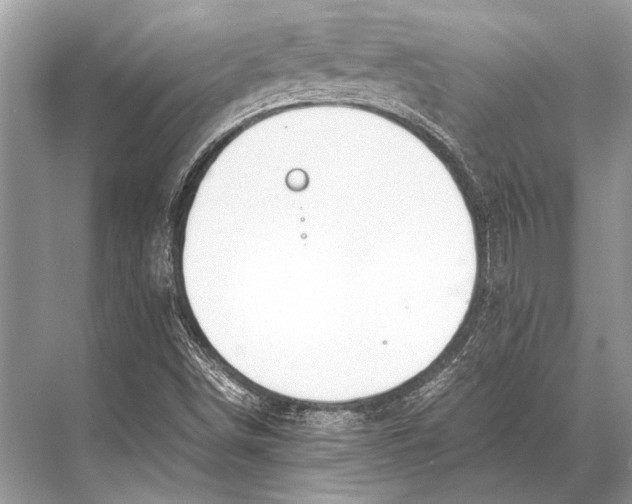 X0000067871498200605041753