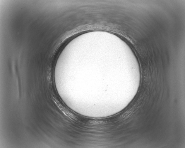 X0000067871499200605041753