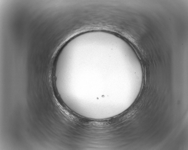 X0000067871500200605041753