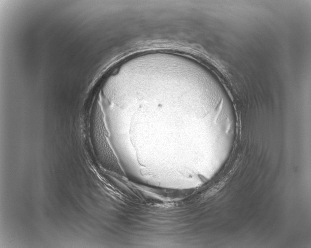 X0000067871501200605041753