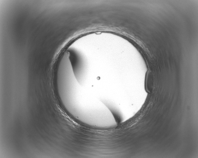 X0000067871502200605041753