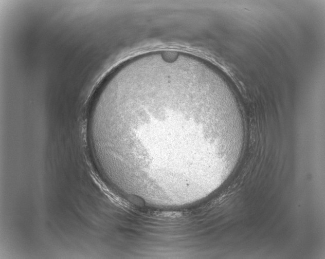 X0000067871503200605041753