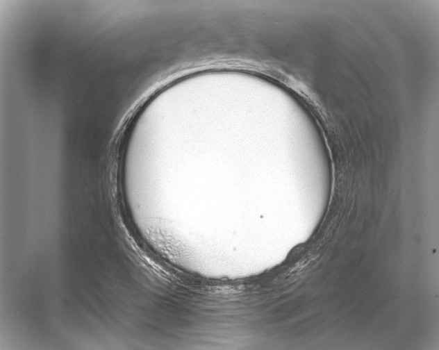 X0000067871504200605041753