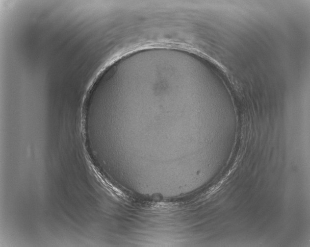 X0000067871506200605041753