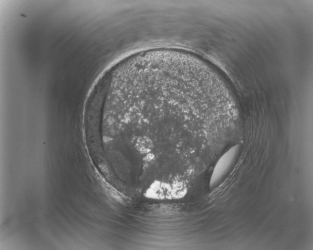 X0000067871508200605041753