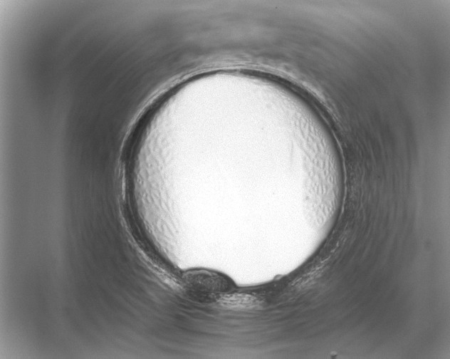 X0000067871509200605041754