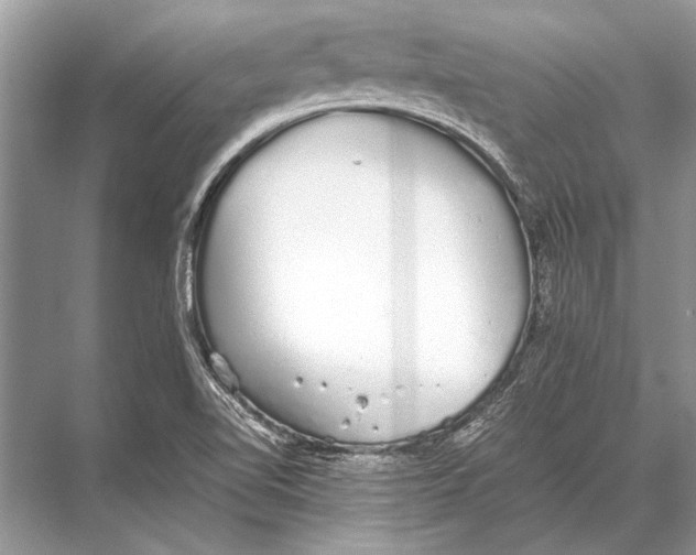 X0000067871510200605041754