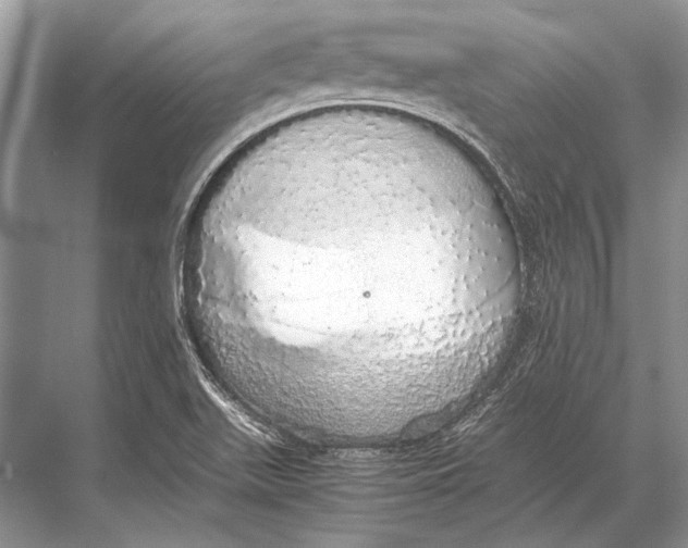 X0000067871511200605041754