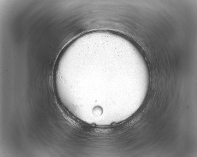 X0000067871513200605041754