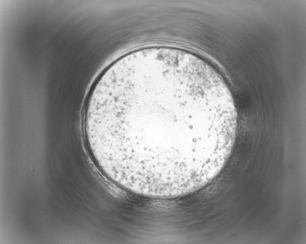 X0000067871514200605041754