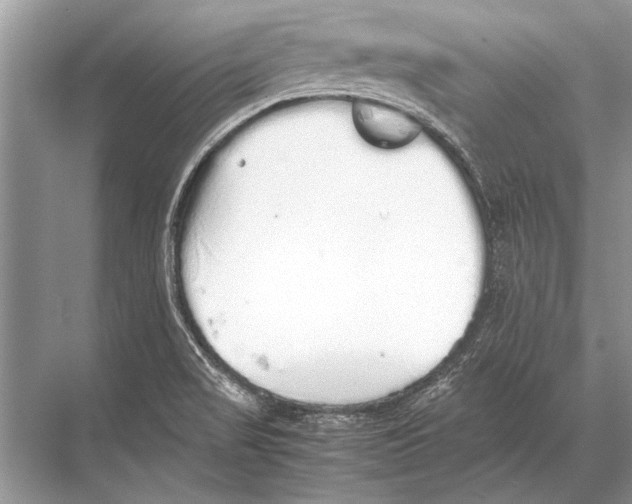 X0000067871517200605041754