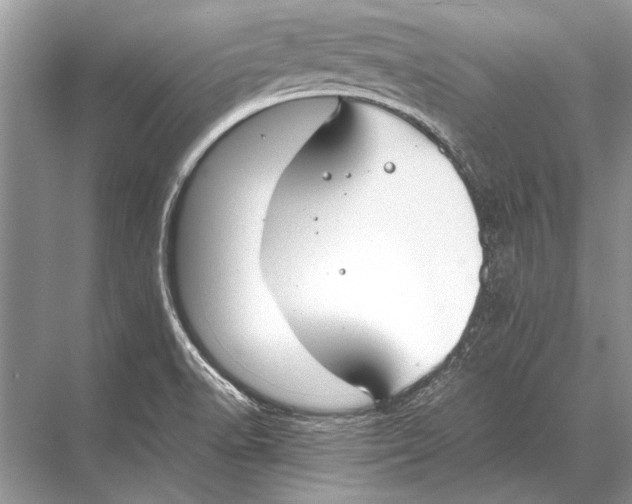 X0000067871518200605041754