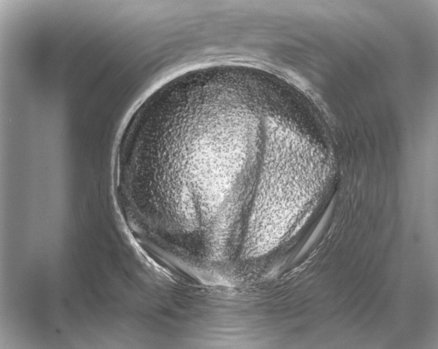 X0000067871520200605041754