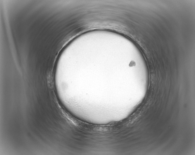 X0000067871521200605041754