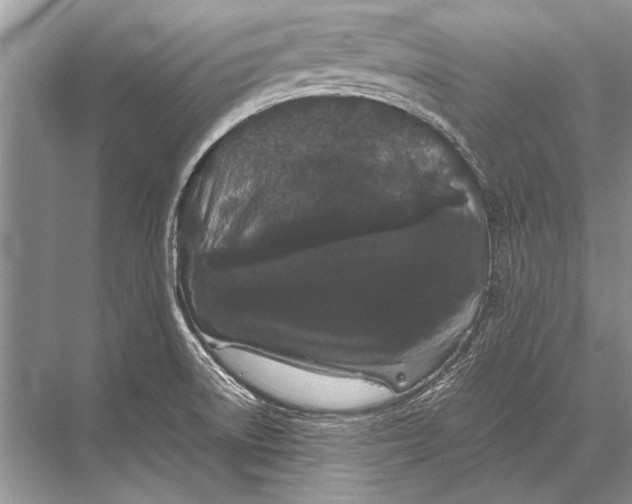 X0000067871522200605041754